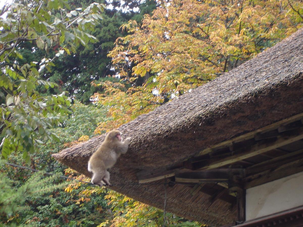Nishiya Hotel Yonezawa Eksteriør billede