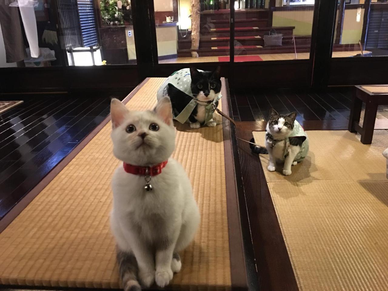 Nishiya Hotel Yonezawa Eksteriør billede